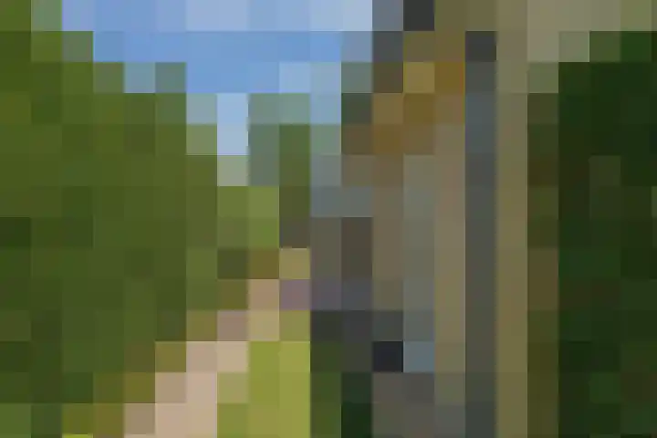 Gerrit Rietveldlaan 75 Oegstgeest thumbnail 33