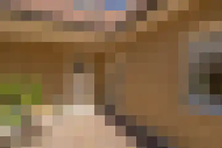 Gerrit Rietveldlaan 75 Oegstgeest thumbnail 5