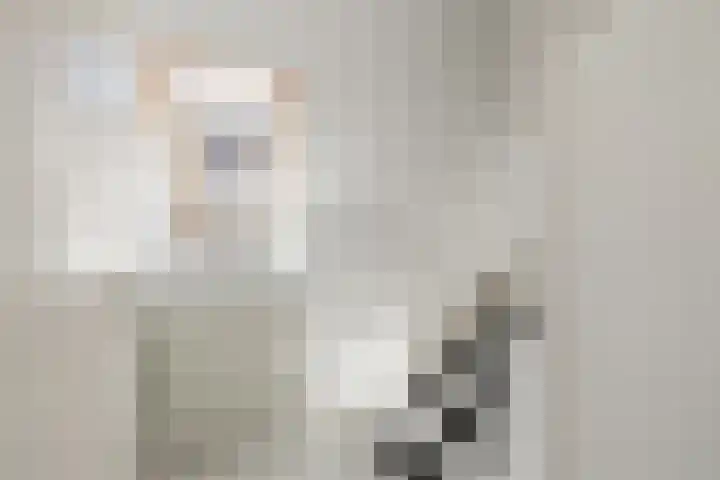 Gerrit Rietveldlaan 75 Oegstgeest thumbnail 56