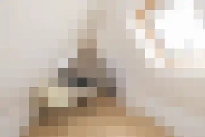 Gerrit Rietveldlaan 75 Oegstgeest thumbnail 59