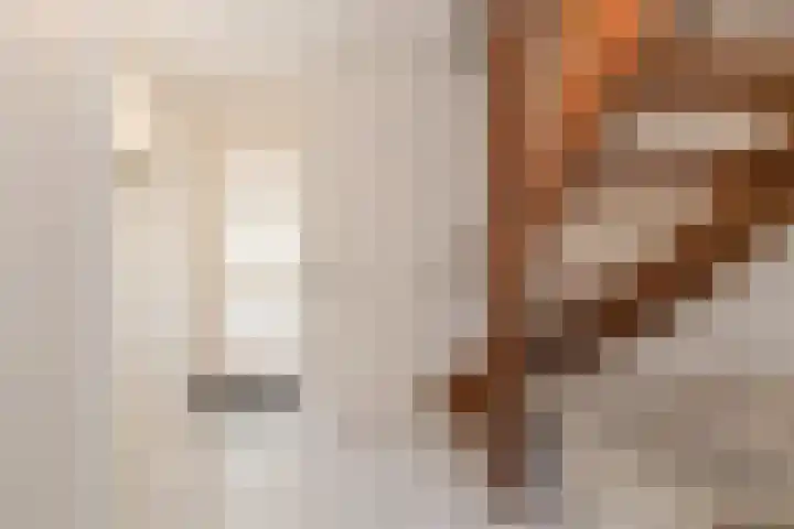 Gerrit Rietveldlaan 75 Oegstgeest thumbnail 6