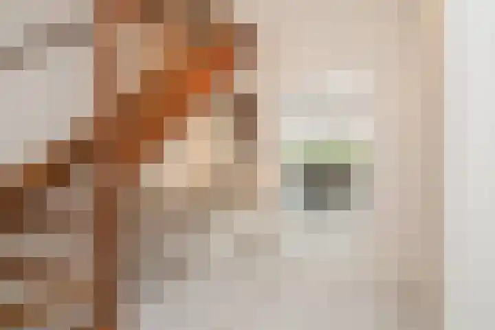 Gerrit Rietveldlaan 75 Oegstgeest thumbnail 7