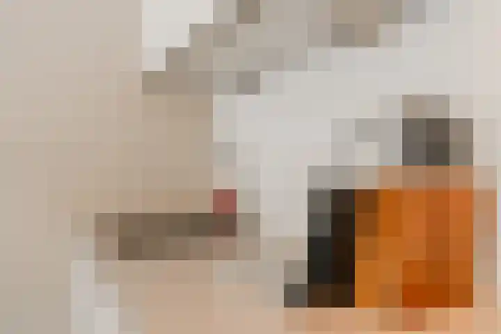 Gerrit Rietveldsingel 101 Diemen thumbnail 21