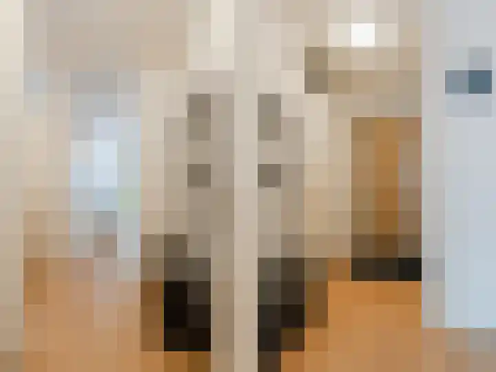 Gerrit Rietveldsingel 105 Diemen thumbnail 7