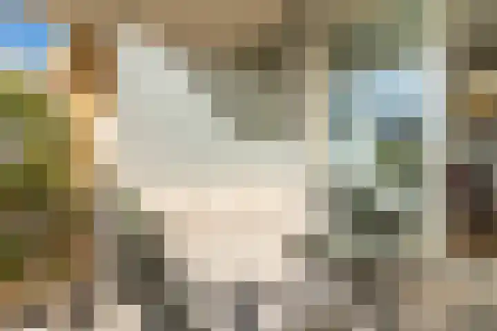 Gerrit Rietveldsingel 143 Diemen thumbnail 29