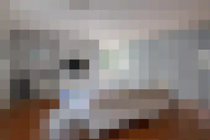 Gerrit Rietveldstraat 16 Rotterdam thumbnail 26