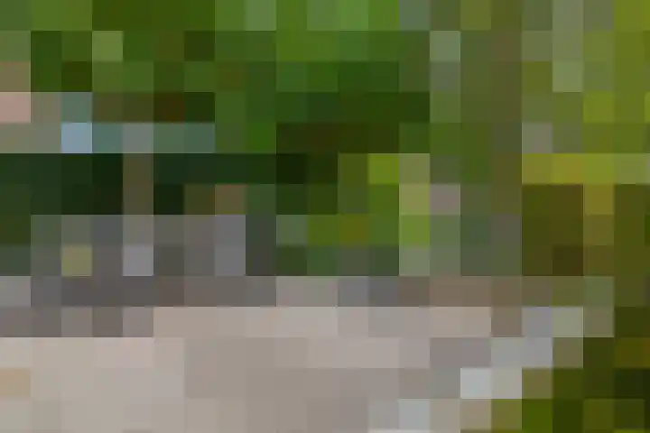 Gerrit Rietveldstraat 16 Rotterdam thumbnail 39