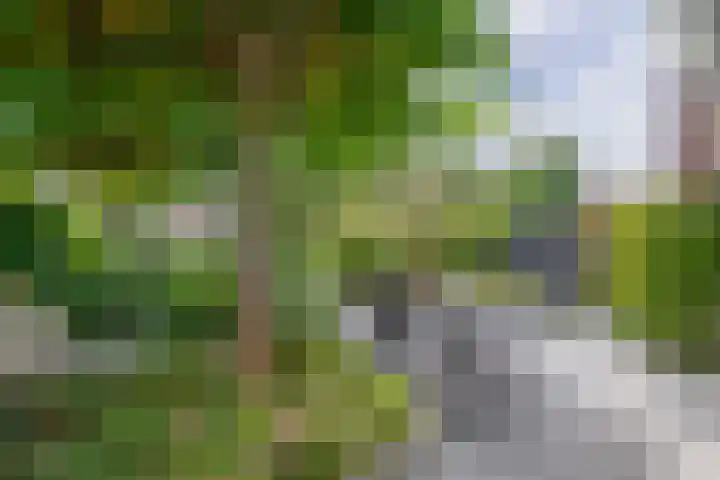 Gerrit Rietveldstraat 16 Rotterdam thumbnail 40