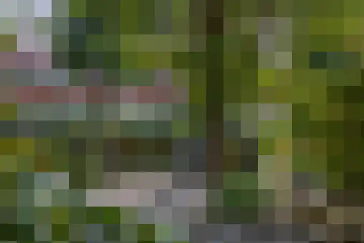 Gerrit Rietveldstraat 16 Rotterdam thumbnail 43