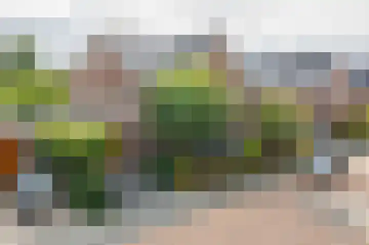 Gerrit Rietveldstraat 16 Rotterdam thumbnail 5