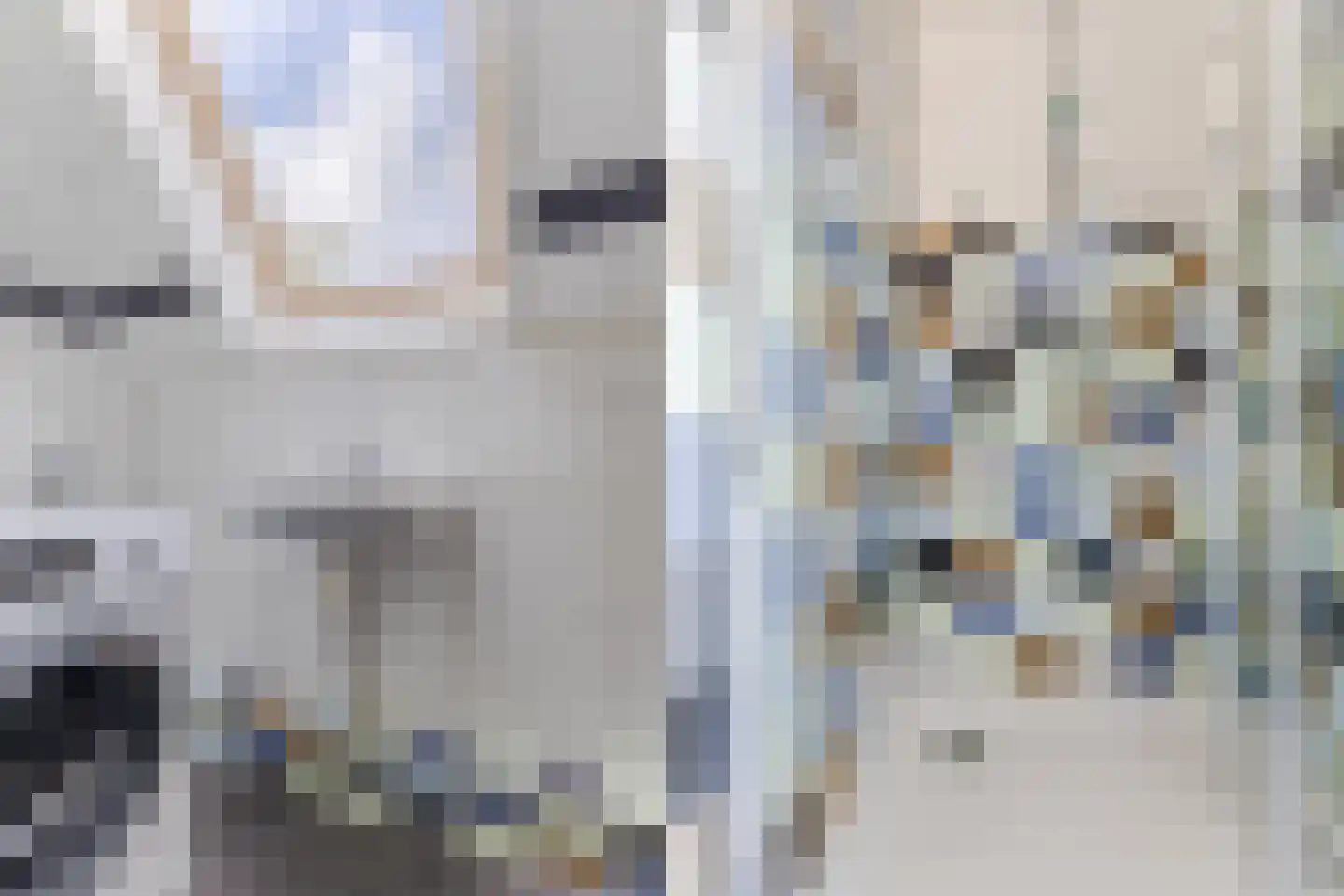 Gerrit Rietveldstraat 27 Rotterdam thumbnail 37