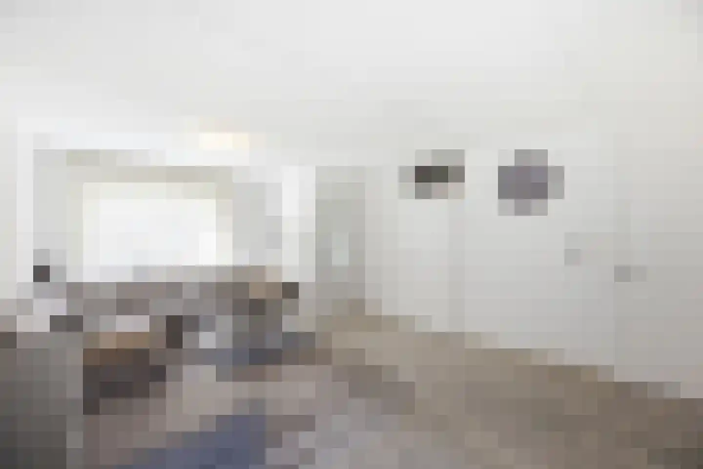 Gerrit Rietveldstraat 27 Vlissingen thumbnail 8