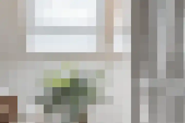 Gerrit Rietveldstraat 44 Rotterdam thumbnail 46
