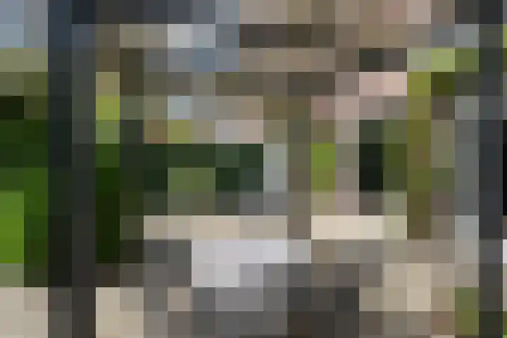 Gerrit Rietveldstraat 44 Rotterdam thumbnail 64
