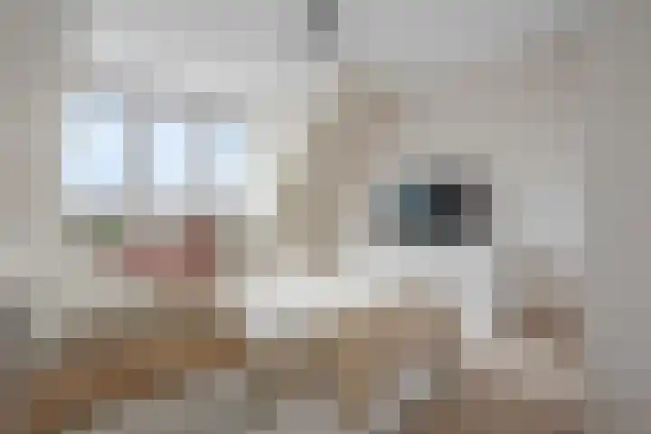 Gerrit Rietveldstraat 53 Rotterdam thumbnail 20