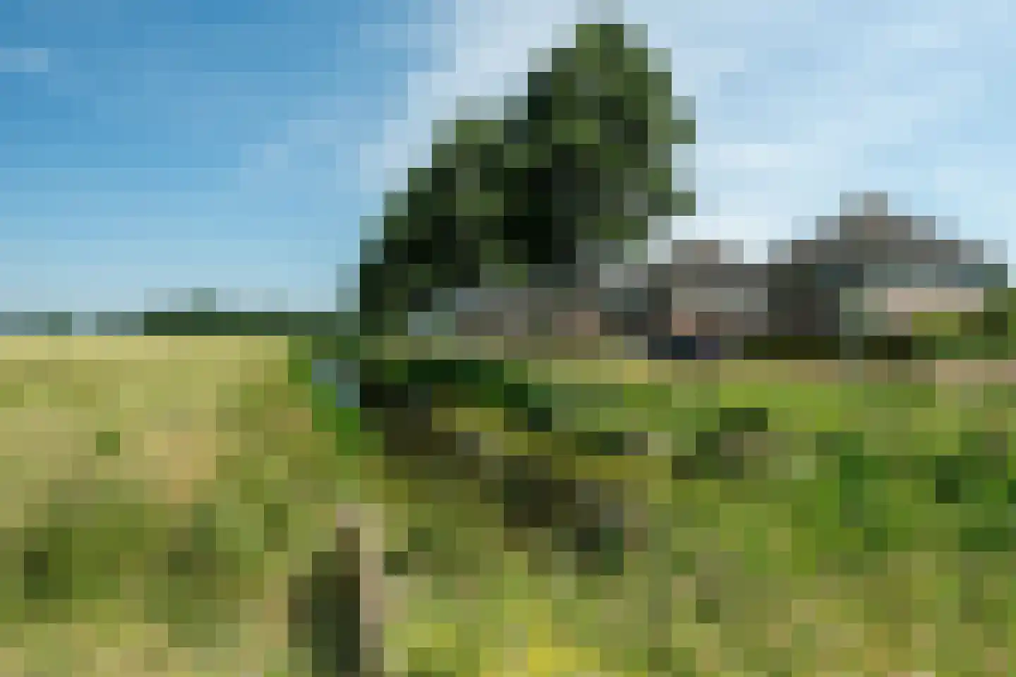 Gerrit Roordawei 106 Tijnje thumbnail 4