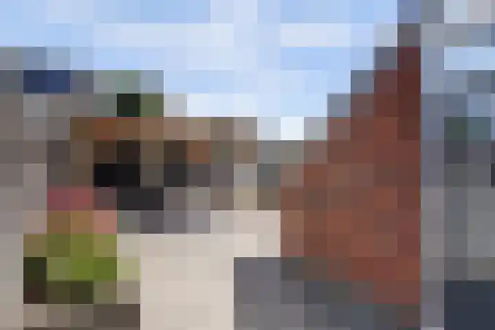 Gerrit Schuilstraat 11 Harlingen thumbnail 32