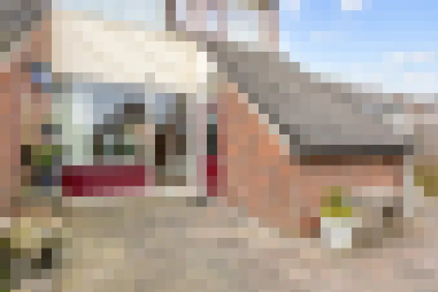 Gerrit Schuilstraat 57 Harlingen thumbnail 31