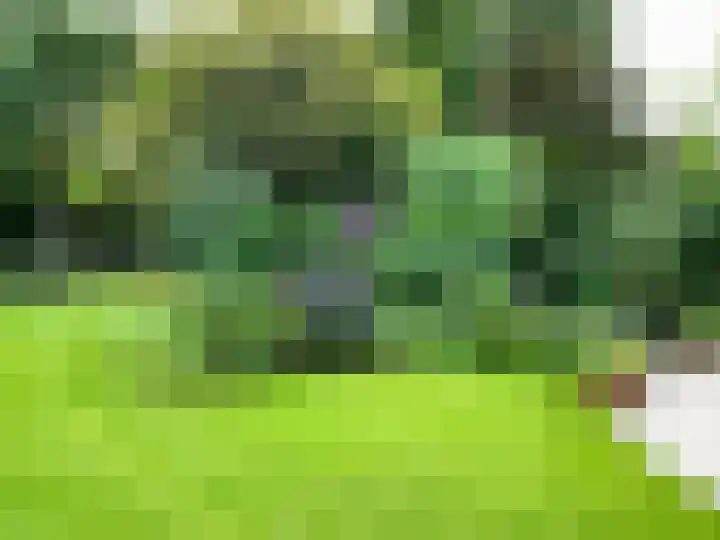 Gerrit Schutlaan 1 Heelsum thumbnail 30