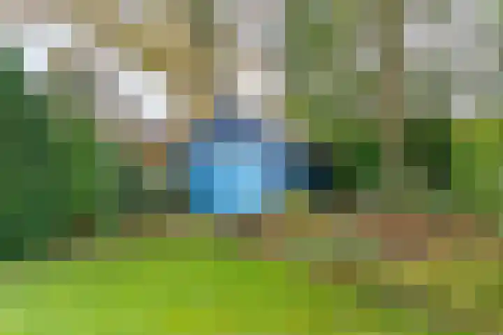 Gerrit Schutlaan 1 Heelsum thumbnail 32