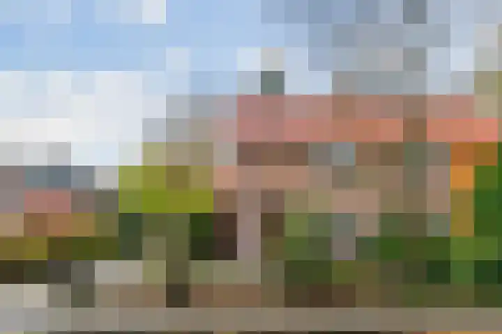 Gerrit Schutlaan 1 Heelsum thumbnail 34