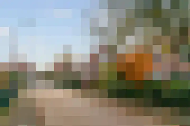 Gerrit Schutlaan 1 Heelsum thumbnail 35