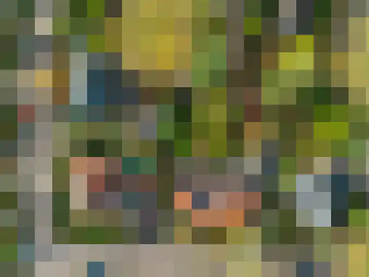 Gerrit Schutlaan 1 Heelsum thumbnail 40