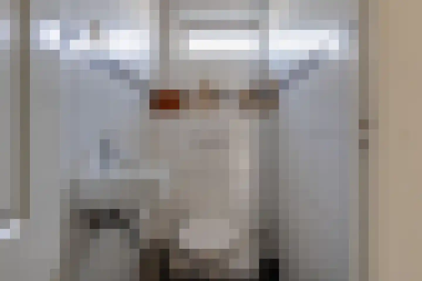 Gerrit Sprokkereefstraat 52 Ruurlo thumbnail 20