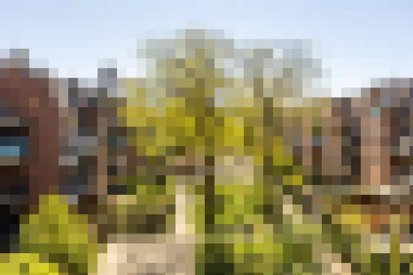 Gerrit Sterkmanplein 6 Rotterdam thumbnail 14