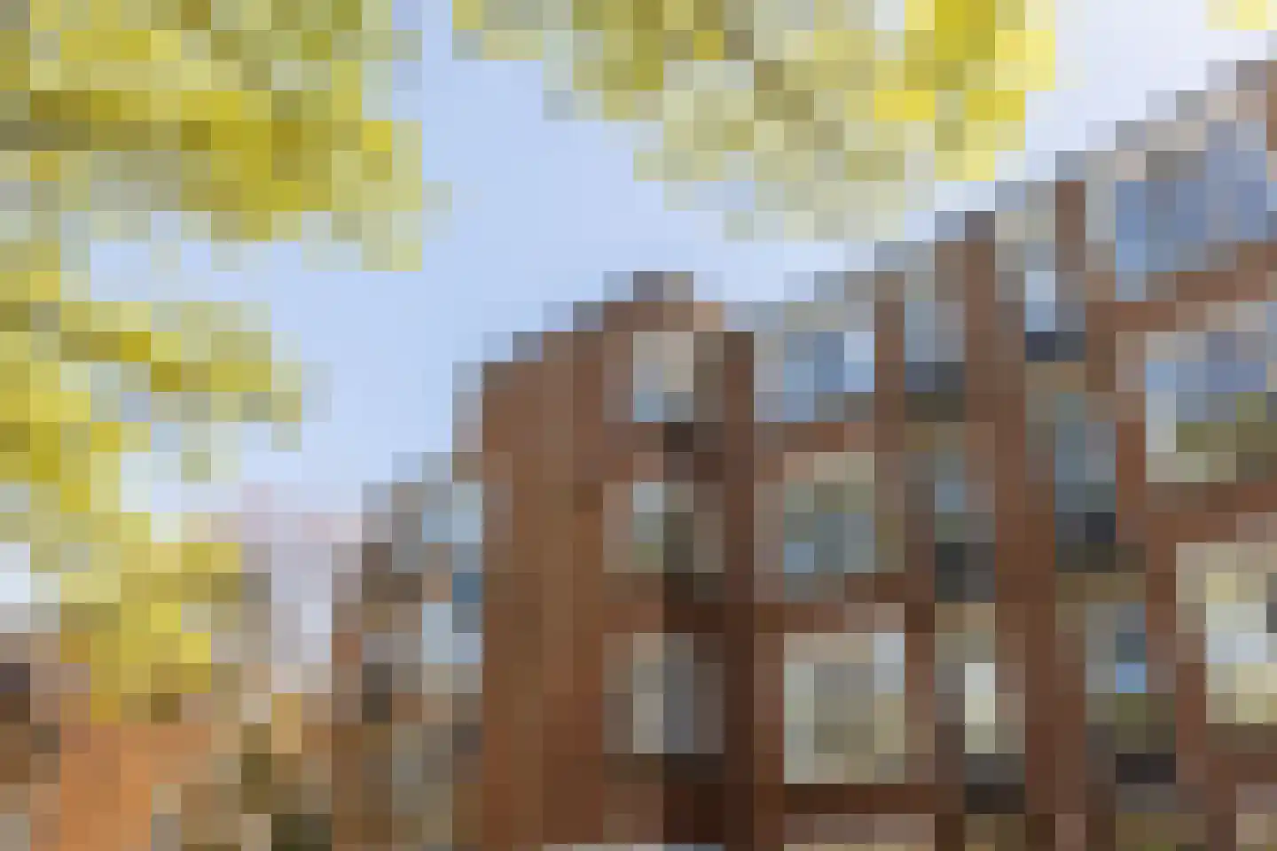 Gerrit Sterkmanplein 6 Rotterdam thumbnail 26