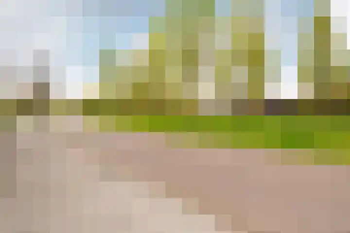 Gerrit Th. Rotmanlaan 2 Almere thumbnail 52
