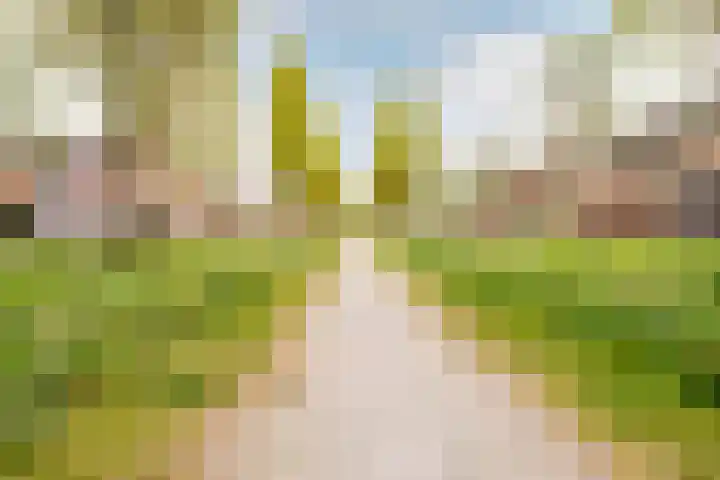 Gerrit Th. Rotmanlaan 2 Almere thumbnail 54