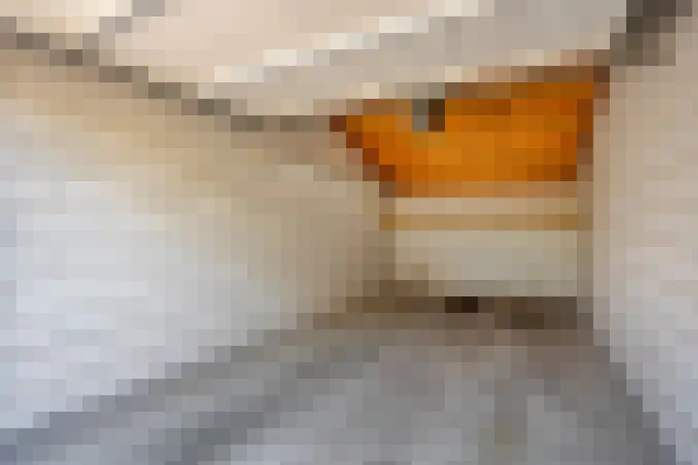 Gerrit van Assendelftstraat 34 D Heemskerk thumbnail 23