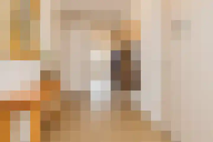 Gerrit van Assendelftstraat 34 F Heemskerk thumbnail 23