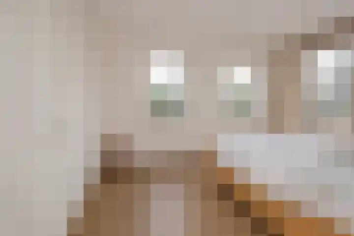 Gerrit van Assendelftstraat 34 F Heemskerk thumbnail 31