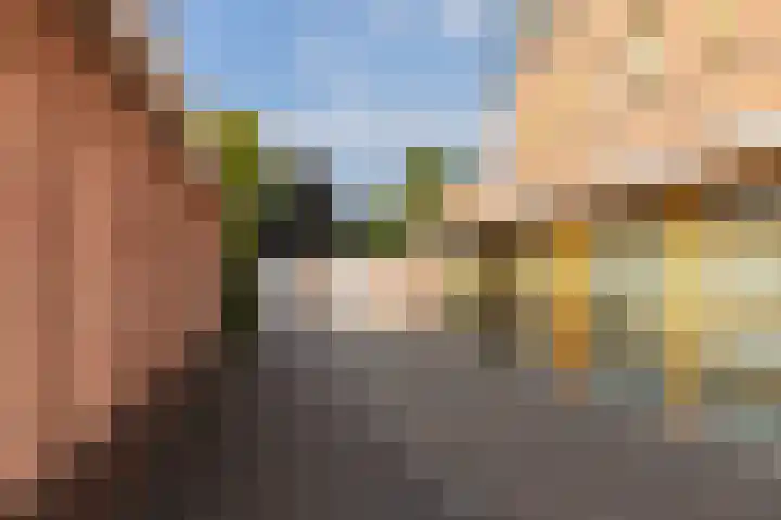 Gerrit van Assendelftstraat 34 F Heemskerk thumbnail 41