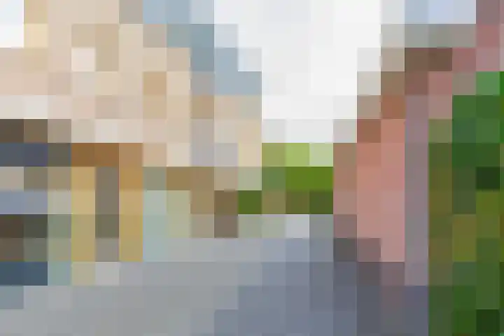 Gerrit van Assendelftstraat 34 F Heemskerk thumbnail 42
