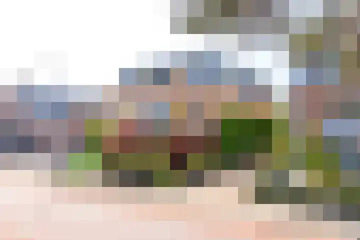 Gerrit van Assendelftstraat 34 F Heemskerk thumbnail 43