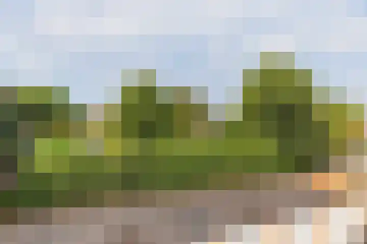 Gerrit van Assendelftstraat 34 F Heemskerk thumbnail 49