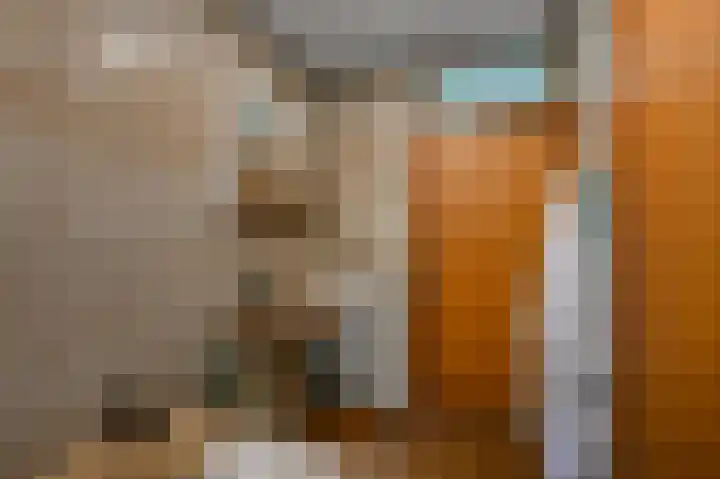 Gerrit van Assendelftstraat 42 Heemskerk thumbnail 17