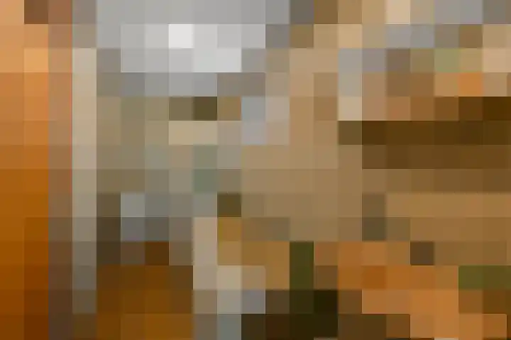 Gerrit van Assendelftstraat 42 Heemskerk thumbnail 18