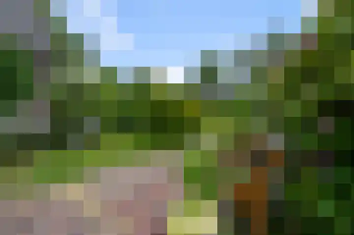 Gerrit van Assendelftstraat 42 Heemskerk thumbnail 27