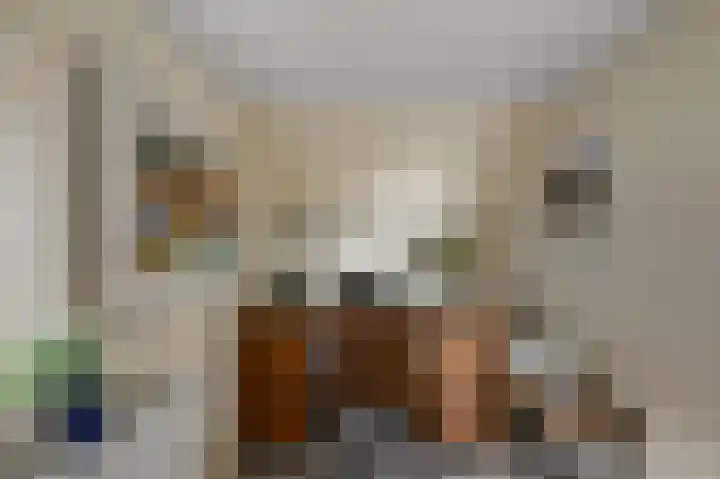 Gerrit van Assendelftstraat 42 Heemskerk thumbnail 32