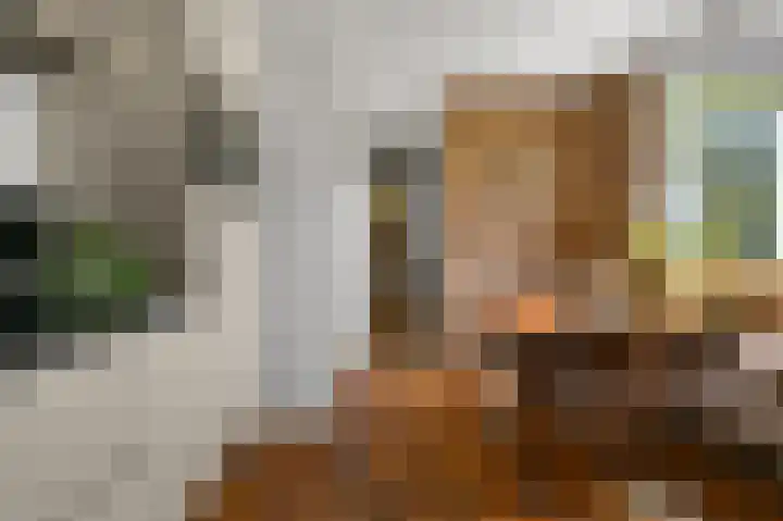 Gerrit van Assendelftstraat 42 Heemskerk thumbnail 9