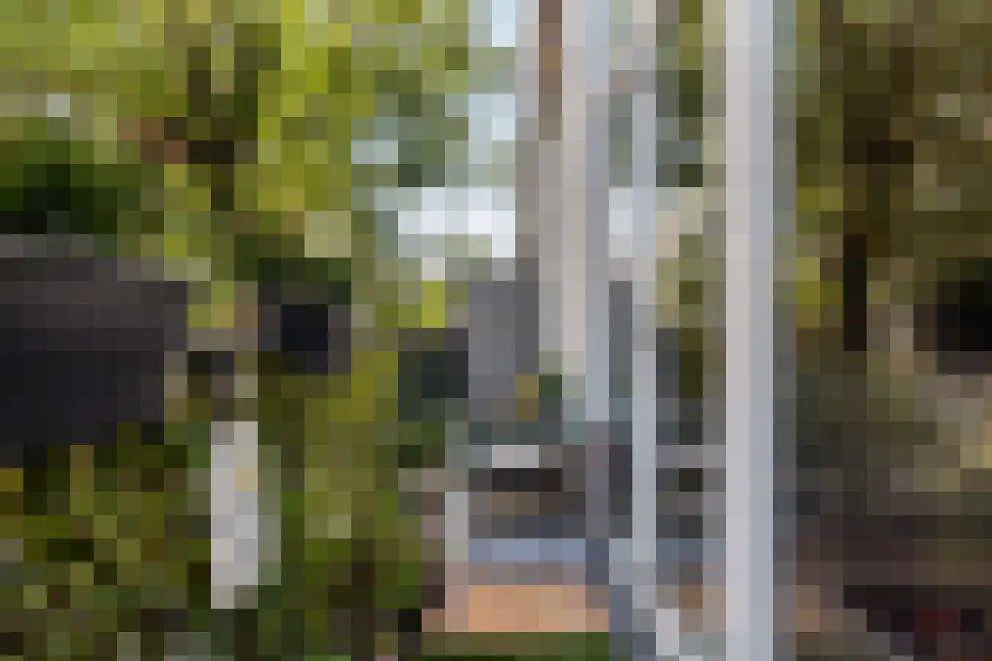 Gerrit van de Lindestraat 27 A Rotterdam thumbnail 18