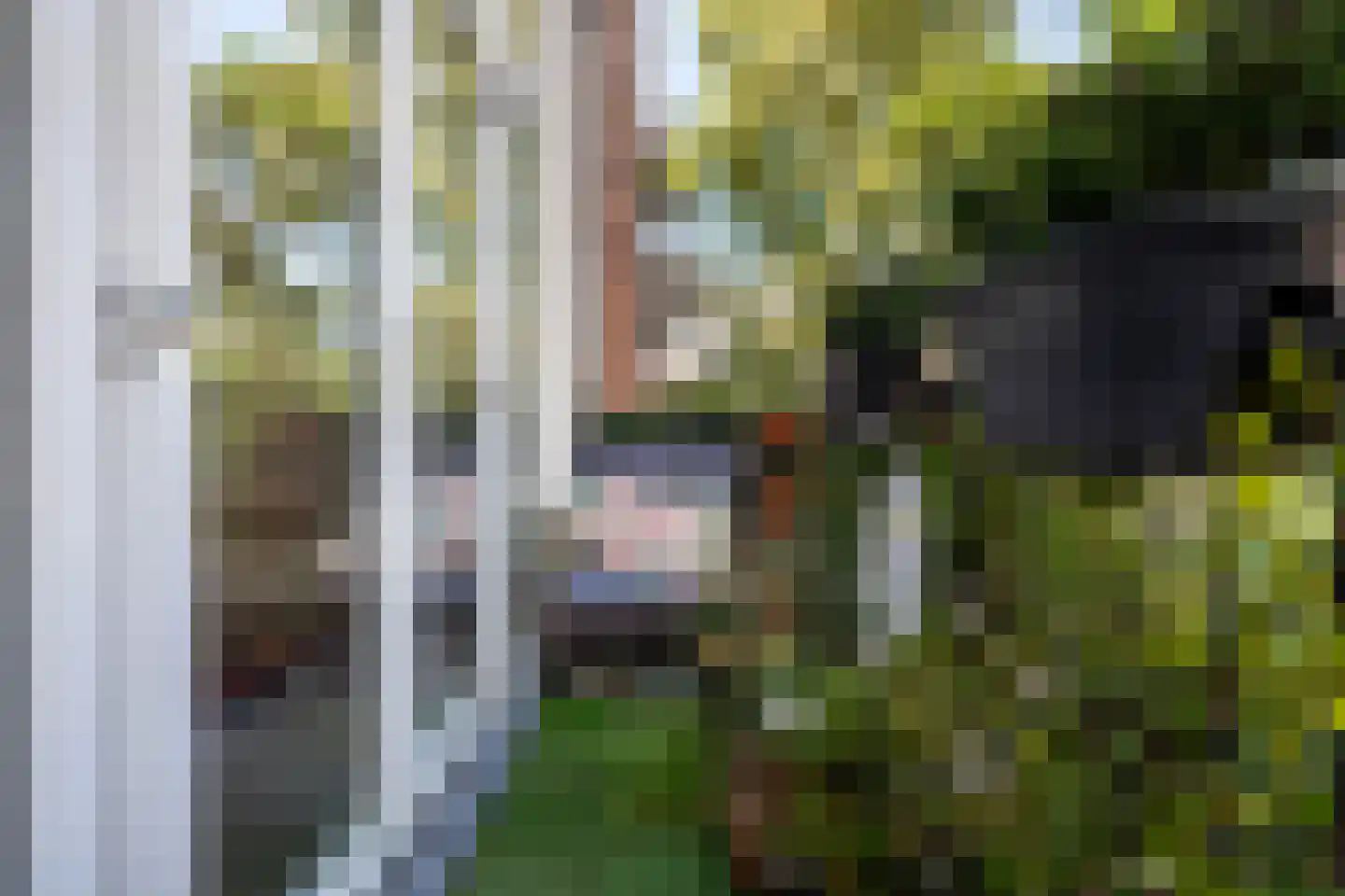 Gerrit van de Lindestraat 27 A Rotterdam thumbnail 4