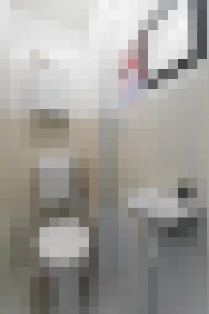 Gerrit van den Boschpad 16 Amsterdam thumbnail 14