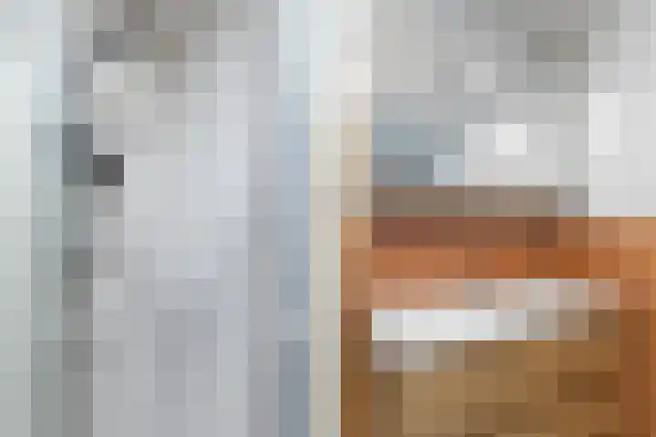 Gerrit van den Boschpad 16 Amsterdam thumbnail 20