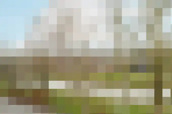 Gerrit van den Boschpad 16 Amsterdam thumbnail 27