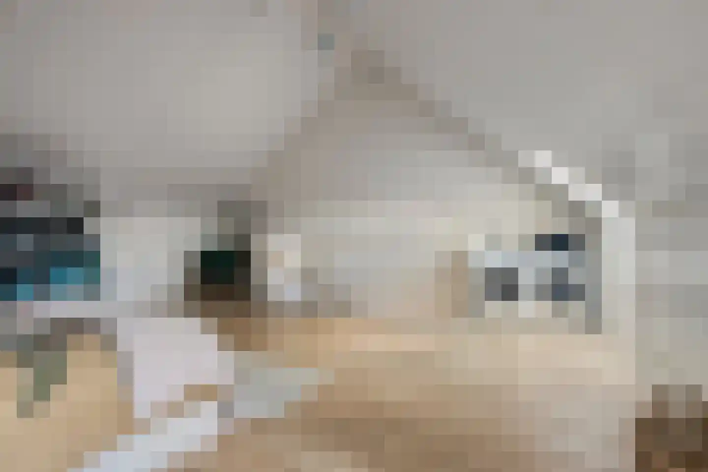 Gerrit van der Heidehage 19 Emmeloord thumbnail 21